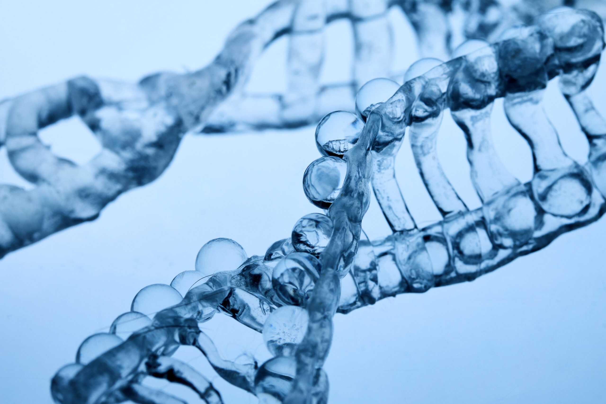 Is genetisch verwantschap belangrijk?